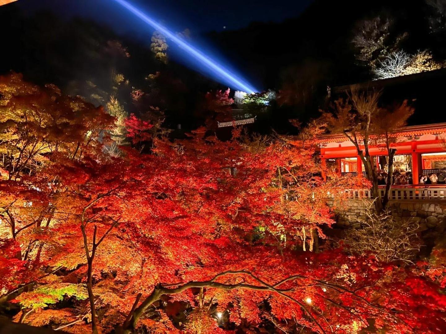 Rinn Gion Shirakawa Kyoto Eksteriør bilde